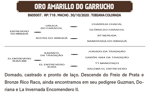 Geração ORO AMARILLO DO GARRUCHO
