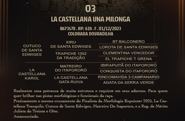 Geração LA CASTELLANA UNA MILONGA