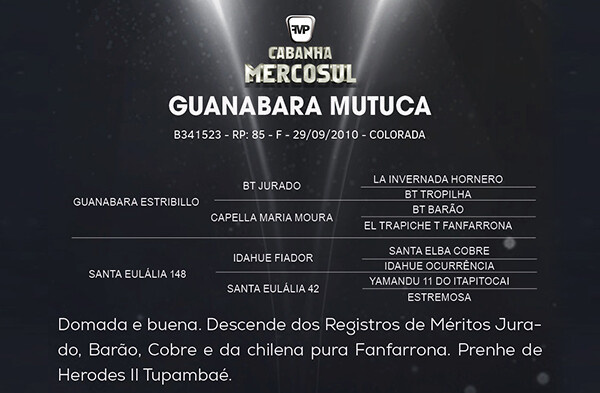 Geração GUANABARA MUTUCA 