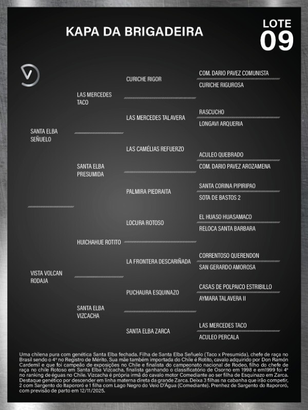 Geração KAPA DA BRIGADEIRA