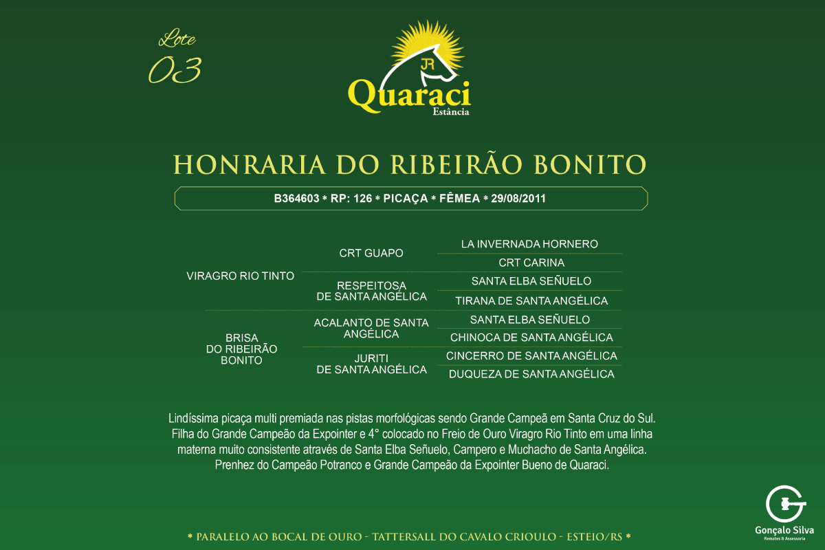 Geração HONRARIA DO RIBEIRÃO BONITO