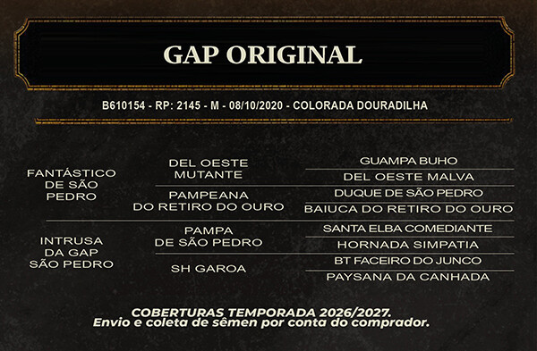 Geração GAP ORIGINAL