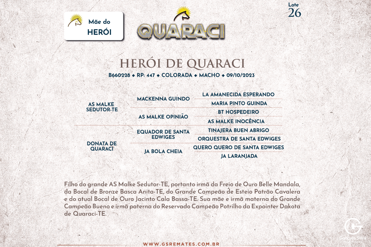 Geração HEROI DE QUARACI 