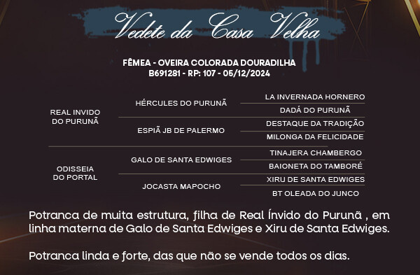 Geração VEDETE DA CASA VELHA