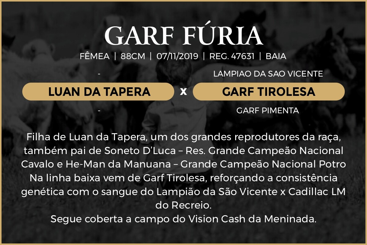 Geração GARF FÚRIA 