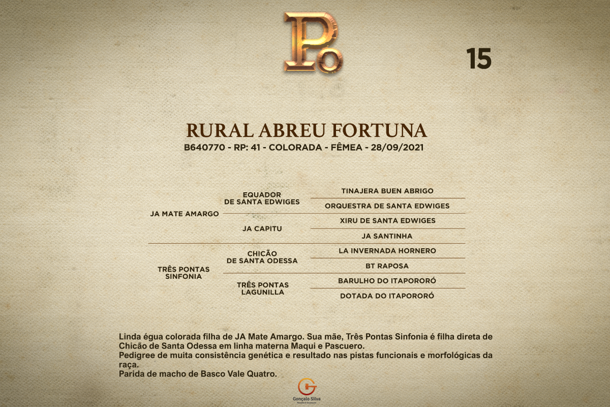 Geração RURAL ABREU FORTUNA