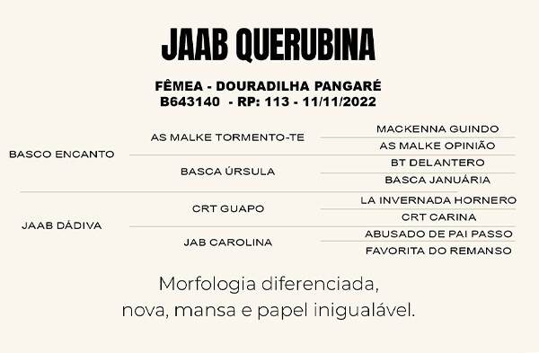 Geração JAAB QUERUBINA