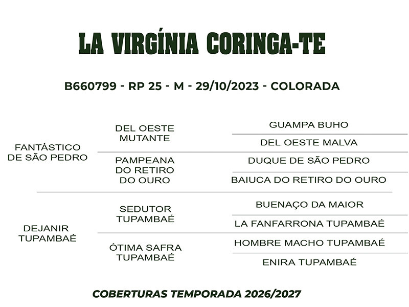 Geração COBERTURA LA VIRGÍNIA CORINGA - TE