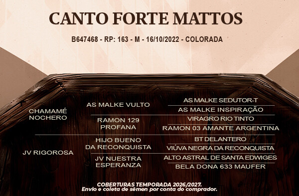 Geração Canto Forte Mattos