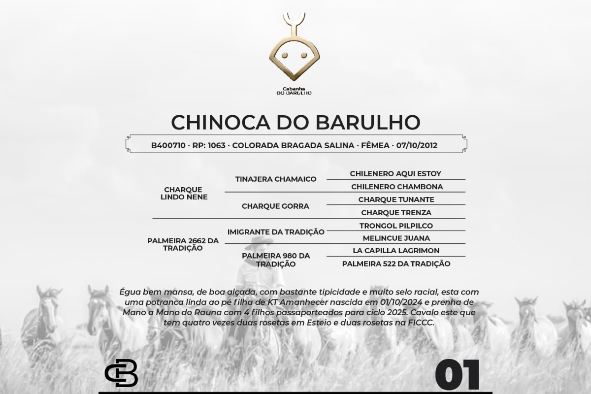 Geração CHINOCA DO BARULHO