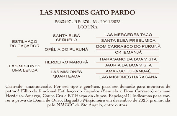 Geração LAS MISIONES GATO PARDO