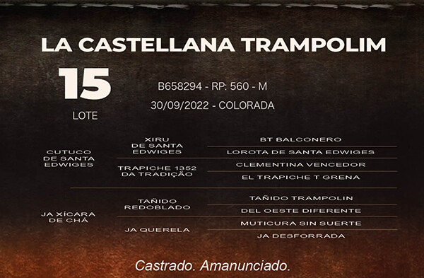 Geração LA CASTELLANA TRAMPOLIN