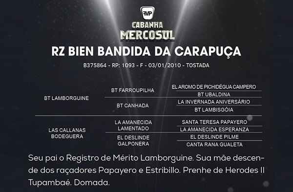 Geração RZ BIEN BANDIDA DA CARAPUÇA