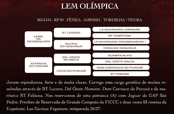 Geração LEM OLIMPICA
