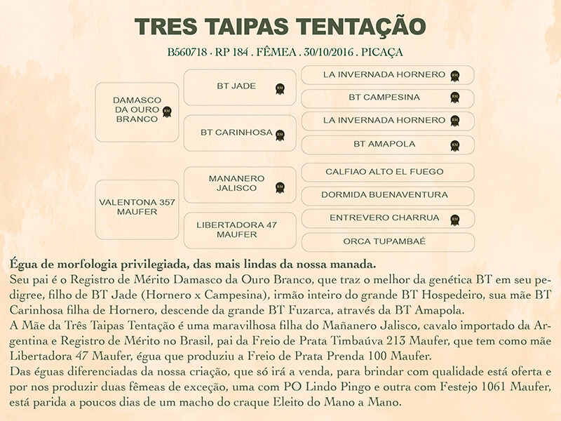 Geração TRÊS TAIPAS TENTAÇÃO