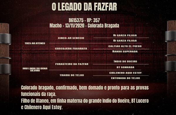 Geração O LEGADO DO FAZFAR