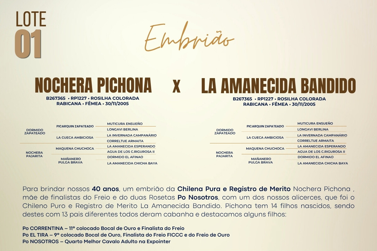 Geração NOCHERA PICHONA X LA AMANECIDA BANDIDO - Venda de embrião