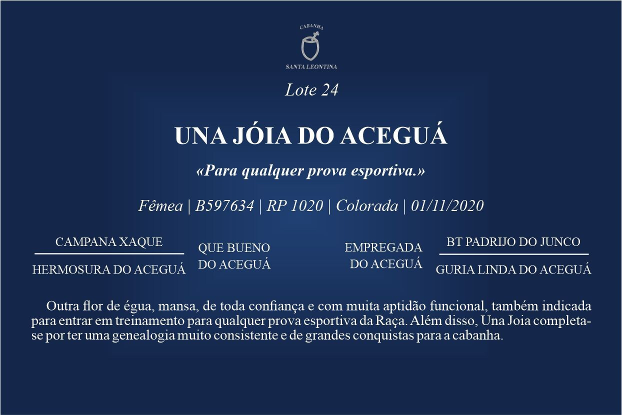 Geração UNA JÓIA DO ACEGUÁ