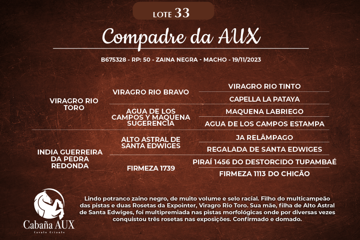 Geração COMPADRE DA AUX