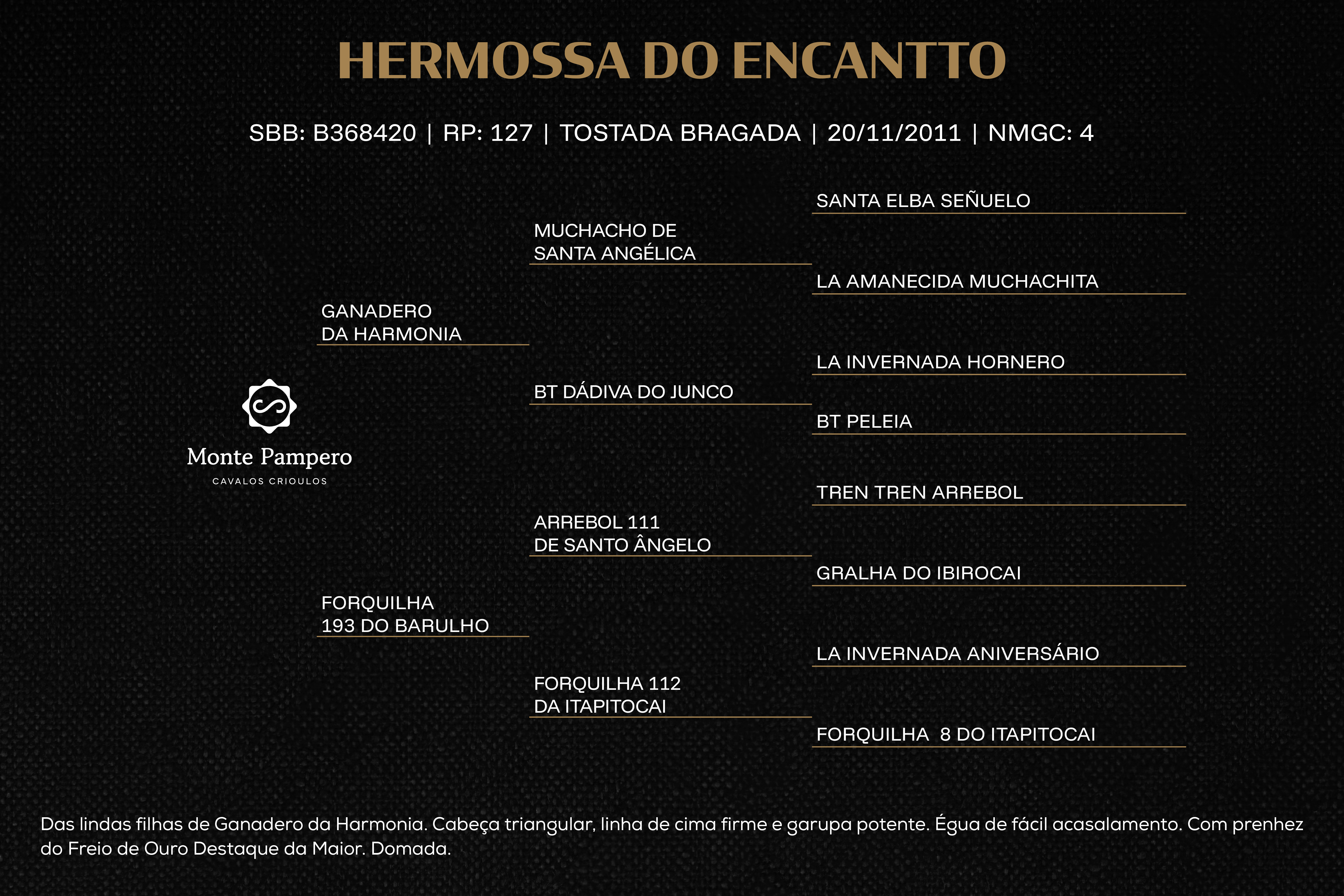 Geração HERMOSSA DO ENCANTTO