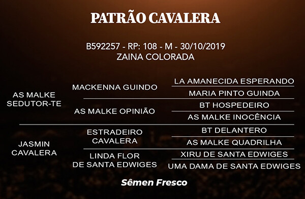 Geração PATRÃO CAVALERA