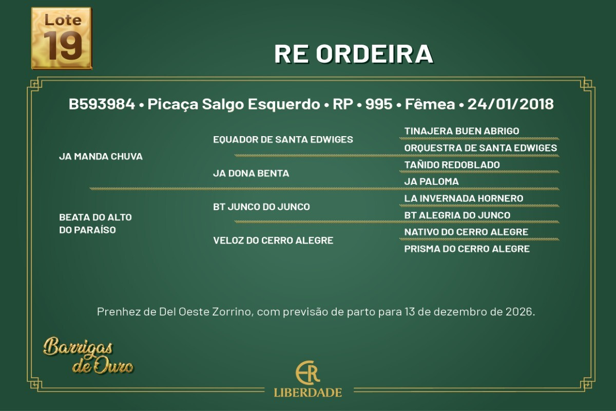 Geração RE ORDEIRA