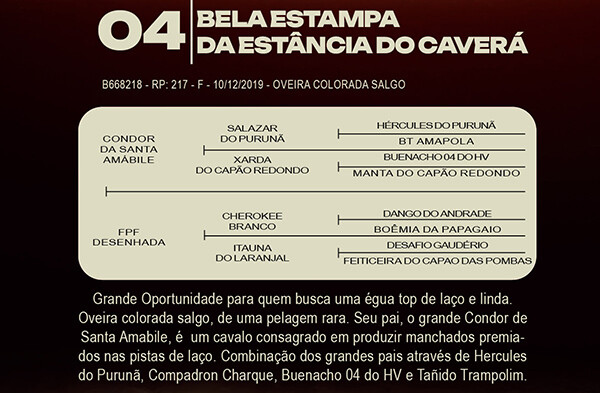 Geração BELA ESTAMPA DA ESTANCIA CAVERA