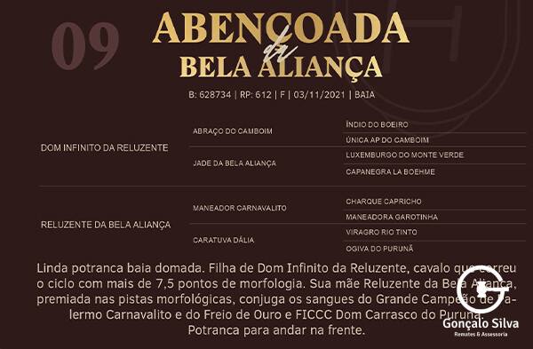 Geração ABENÇOADA DA BELA ALIANÇA
