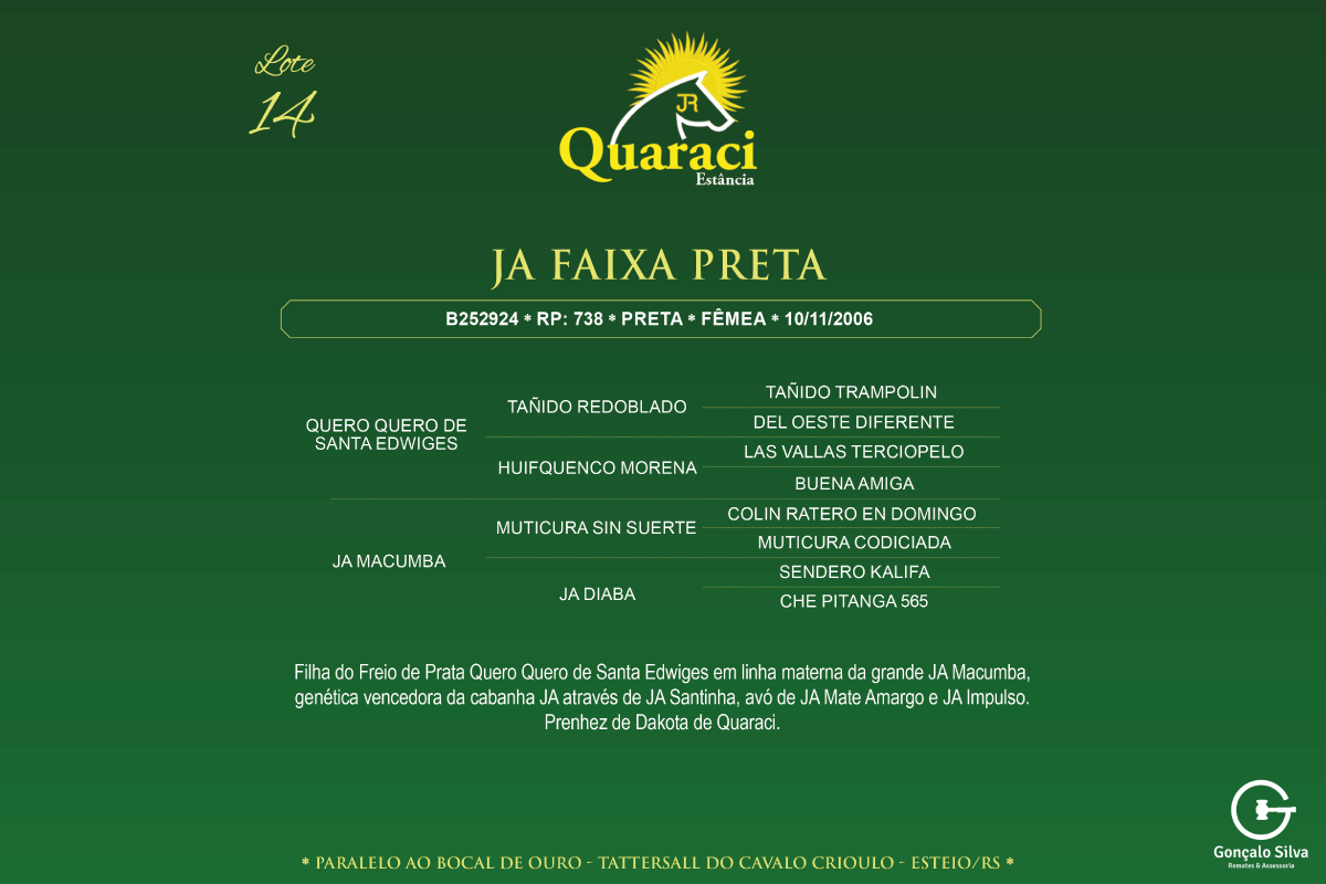 Geração JA FAIXA PRETA