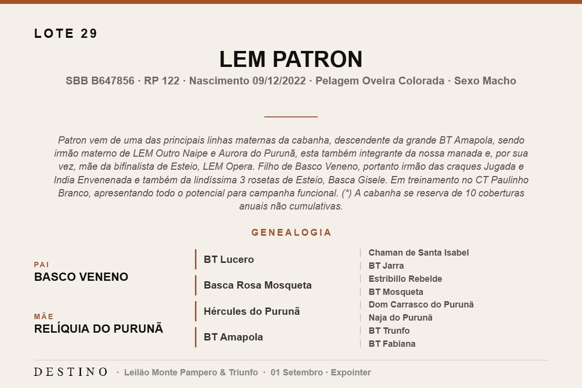 Geração LEM PATRON