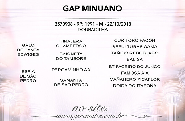 Geração GAP MINUANO OU UNICO DO PURUNA
