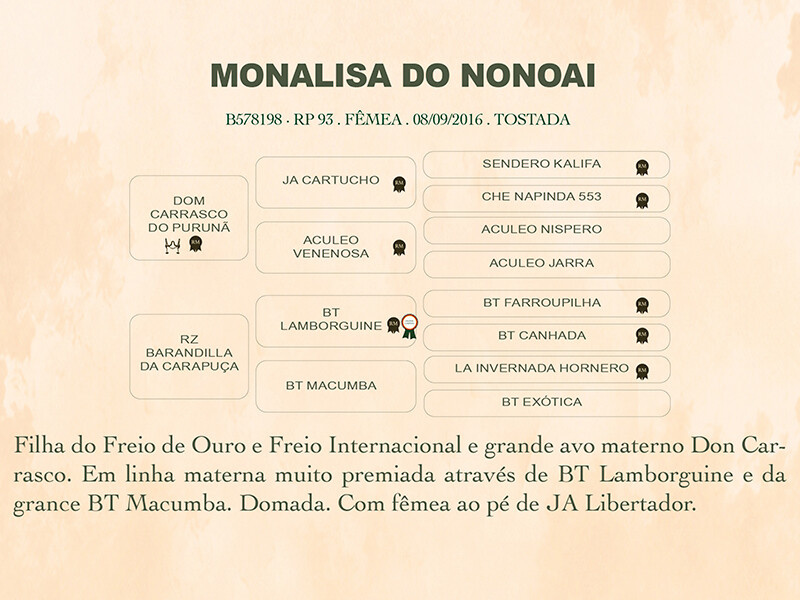 Geração MONALISA DO NONOAI
