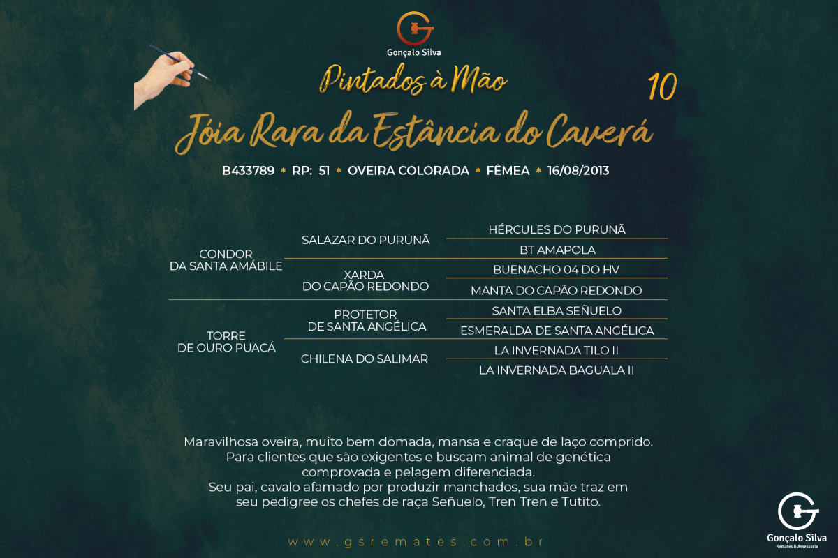 Geração JÓIA RARA DA ESTÂNCIA DO CAVERÁ