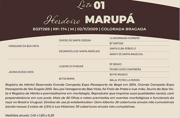 Geração HERDEIRO MARUPA