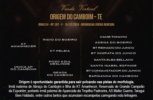 Geração VENDA VERTICAL ORIGEM DO CAMBOIM - TE OU ÚNICA AP DO CAMBOIM