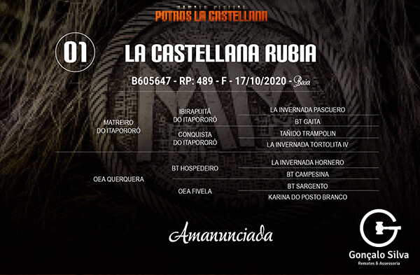 Geração LA CASTELLANA RUBIA