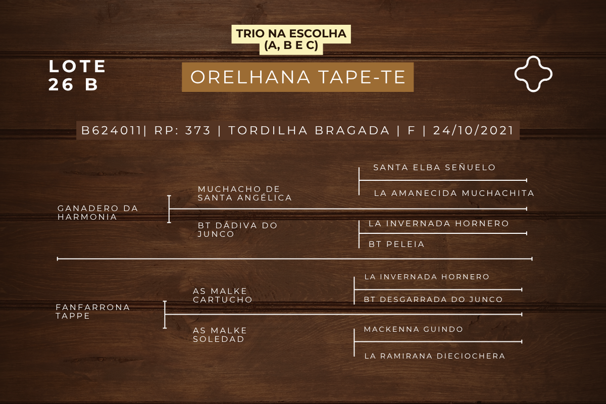 Geração NA ESCOLHA EMBRIÃO AS MALKE SOLEDAD OU ORELHANA TAPE - TE OU FANFARRONA TAPE