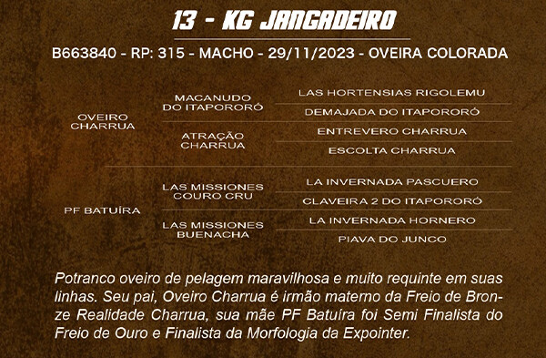 Geração KG JANGADEIRO