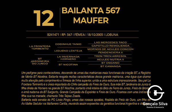 Geração BAILANTA 567 MAUFER 