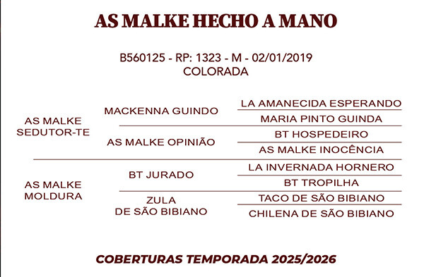 Geração AS MALKE HECHO A MANO