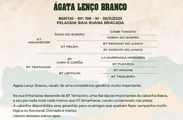 Geração ÁGATA LENÇO BRANCO
