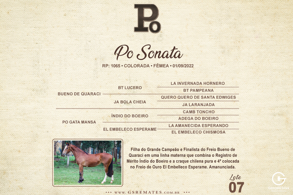 Geração PO SONATA 