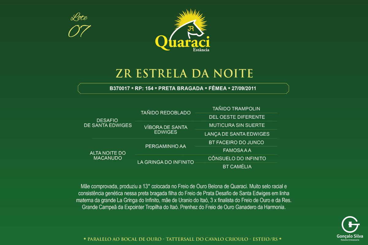 Geração ZR ESTRELA DA NOITE