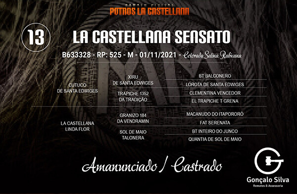 Geração LA CASTELLANA SENSATO