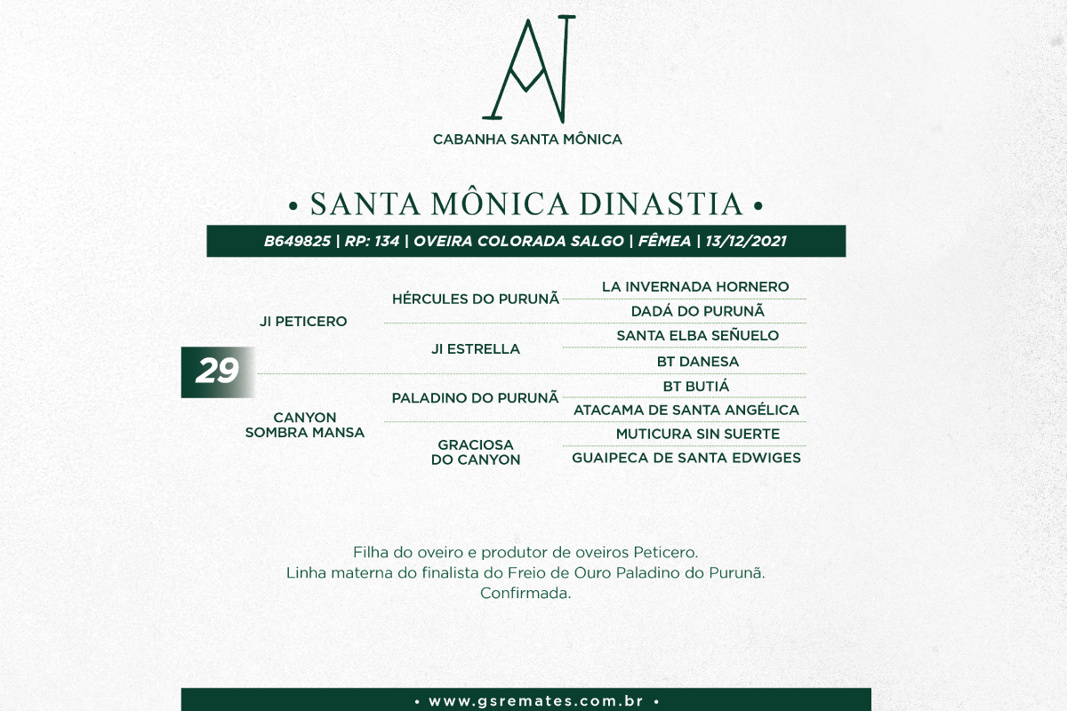 Geração SANTA MONICA DINASTIA