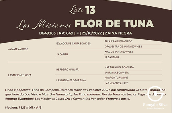 Geração LAS MISIONES FLOR DE TUNA