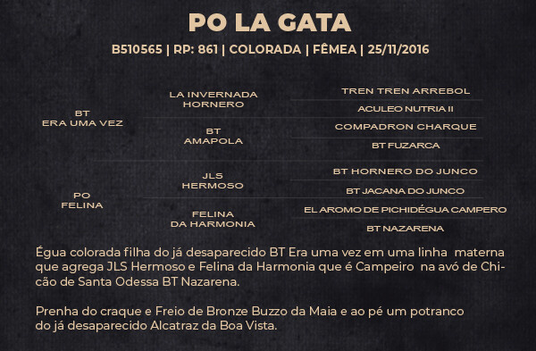 Geração PO LA GATA