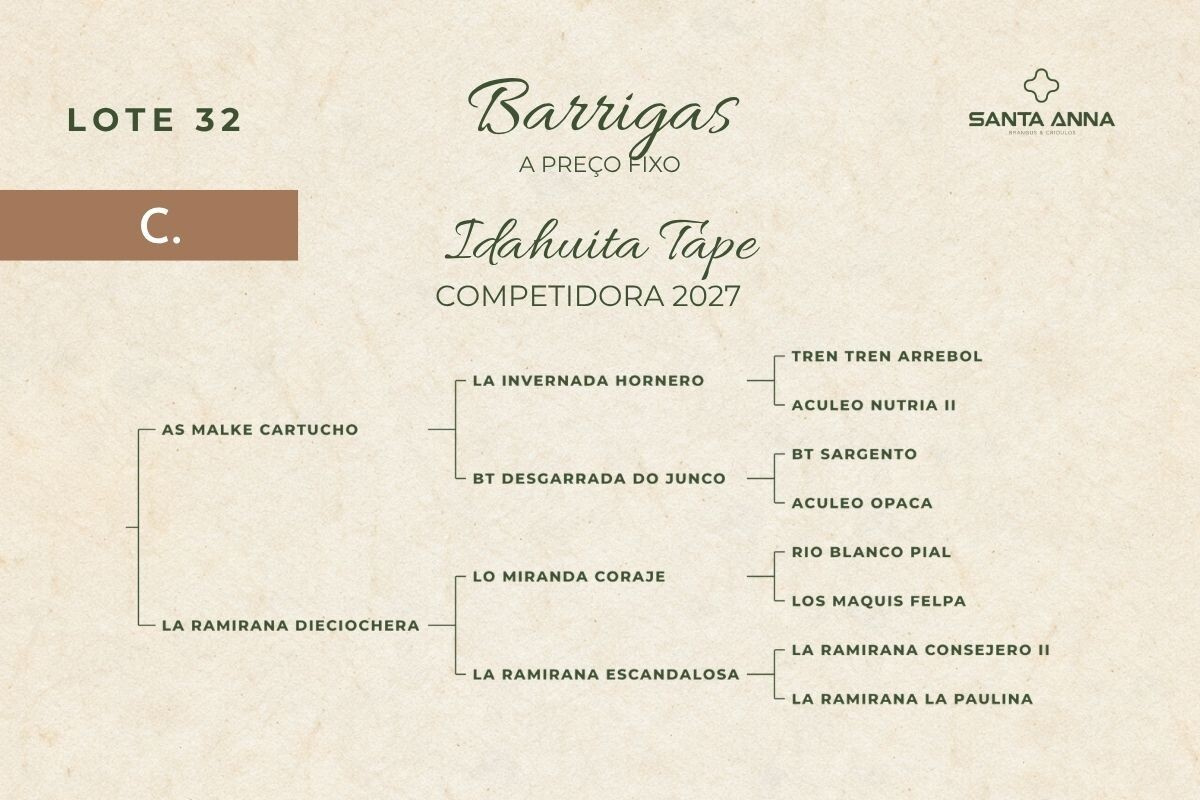 Geração IDAHUITA TAPE