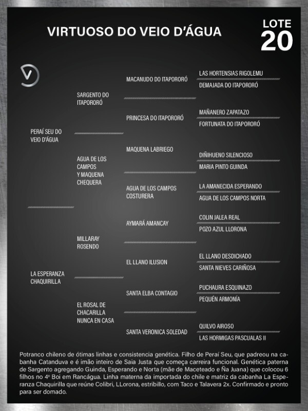 Geração VIRTUOSO DO VEIO D'ÁGUA