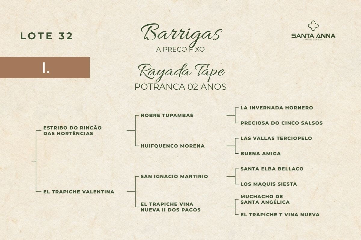Geração RAYADA TAPE